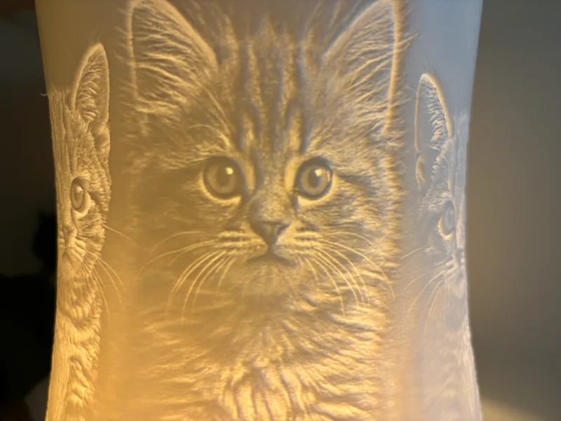 Kitties Lamp Shade