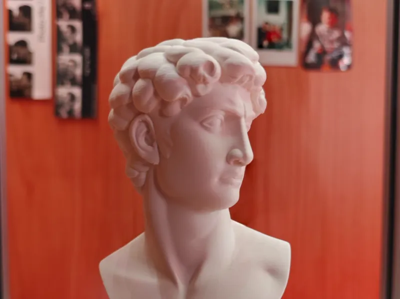 Potrait of David - Busto in Stile Rinascimentale