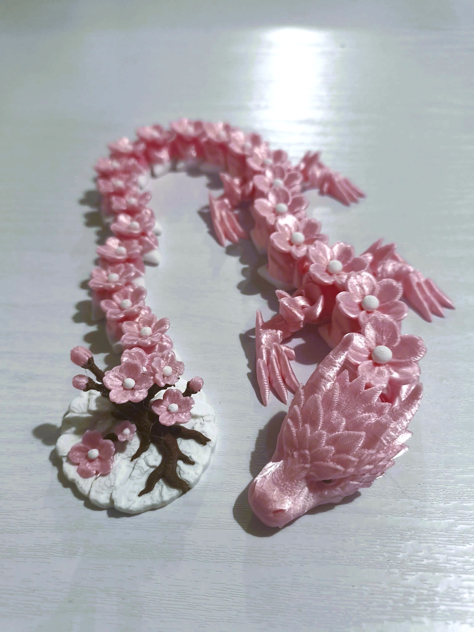 Foto 7