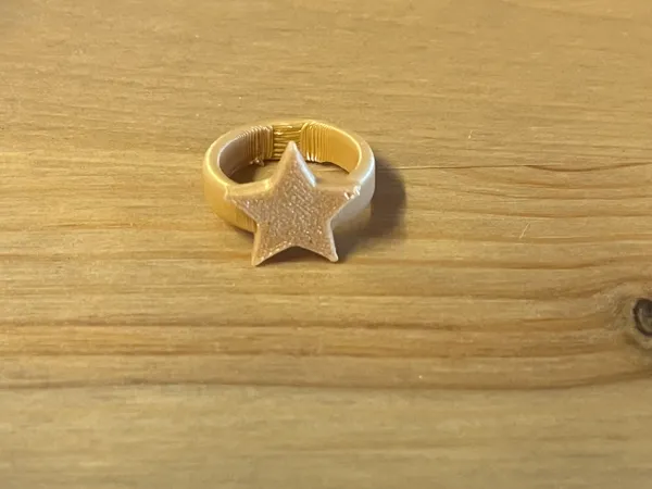 https://makerworld.bblmw.com/makerworld/model/US81e691def3b5e/design/2025-07-12_1e4d63cf9a256.jpeg