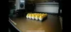 25x Easter Hatching Chicken(file size reduced, scaled Ć1.33)