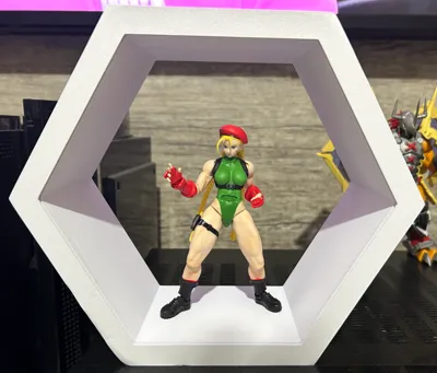 Modular Hex Display with window