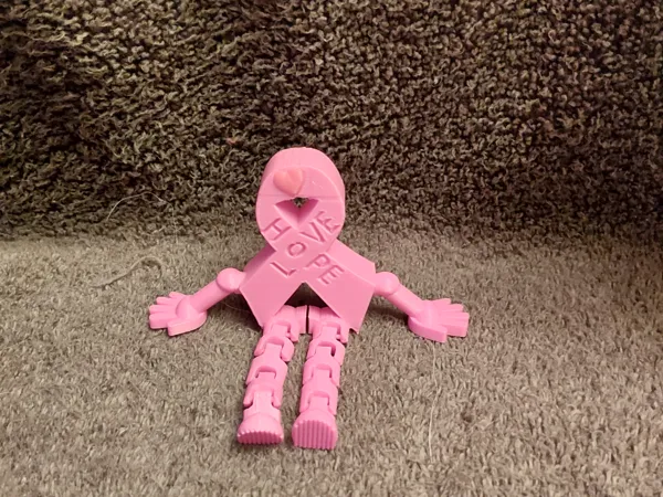 https://makerworld.bblmw.com/makerworld/model/US81f166125d104c/design/2025-11-29_40225ff91879e8.jpg