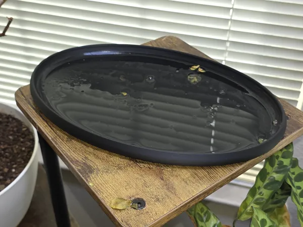 https://makerworld.bblmw.com/makerworld/model/US81f6d26a7cc7e5/design/2025-12-28_f559fb4a0a5ee.jpg