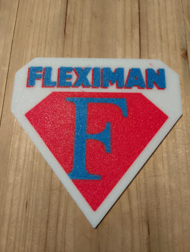 Fleximan logo