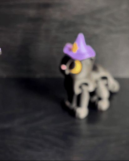 Rune the Witchy Kitty Flexi - Halloween