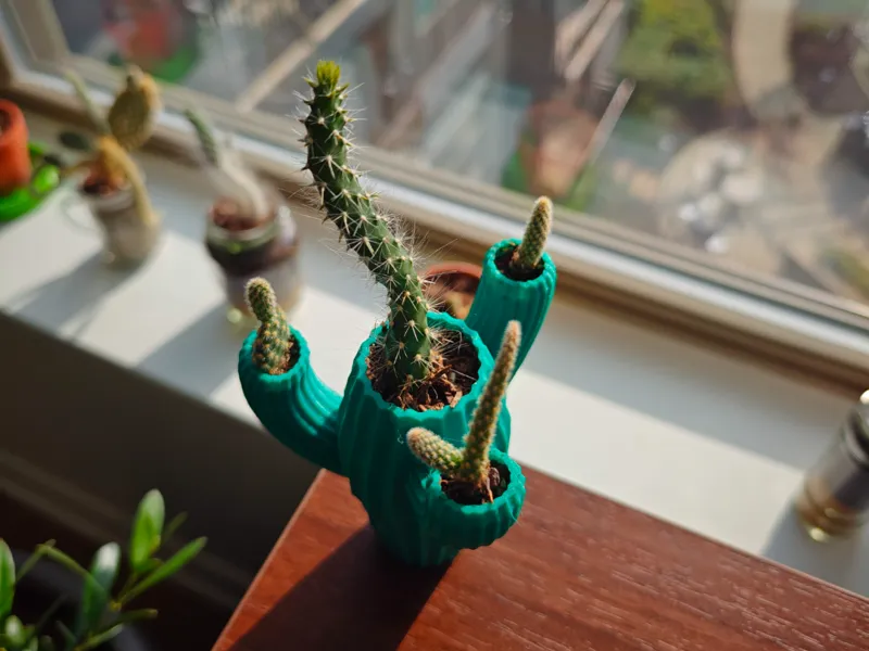 Saguaro Cactus Pot