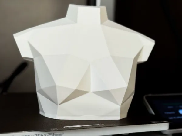 https://makerworld.bblmw.com/makerworld/model/US8202081bbe350f/design/2025-07-20_8795125b42f78.jpg