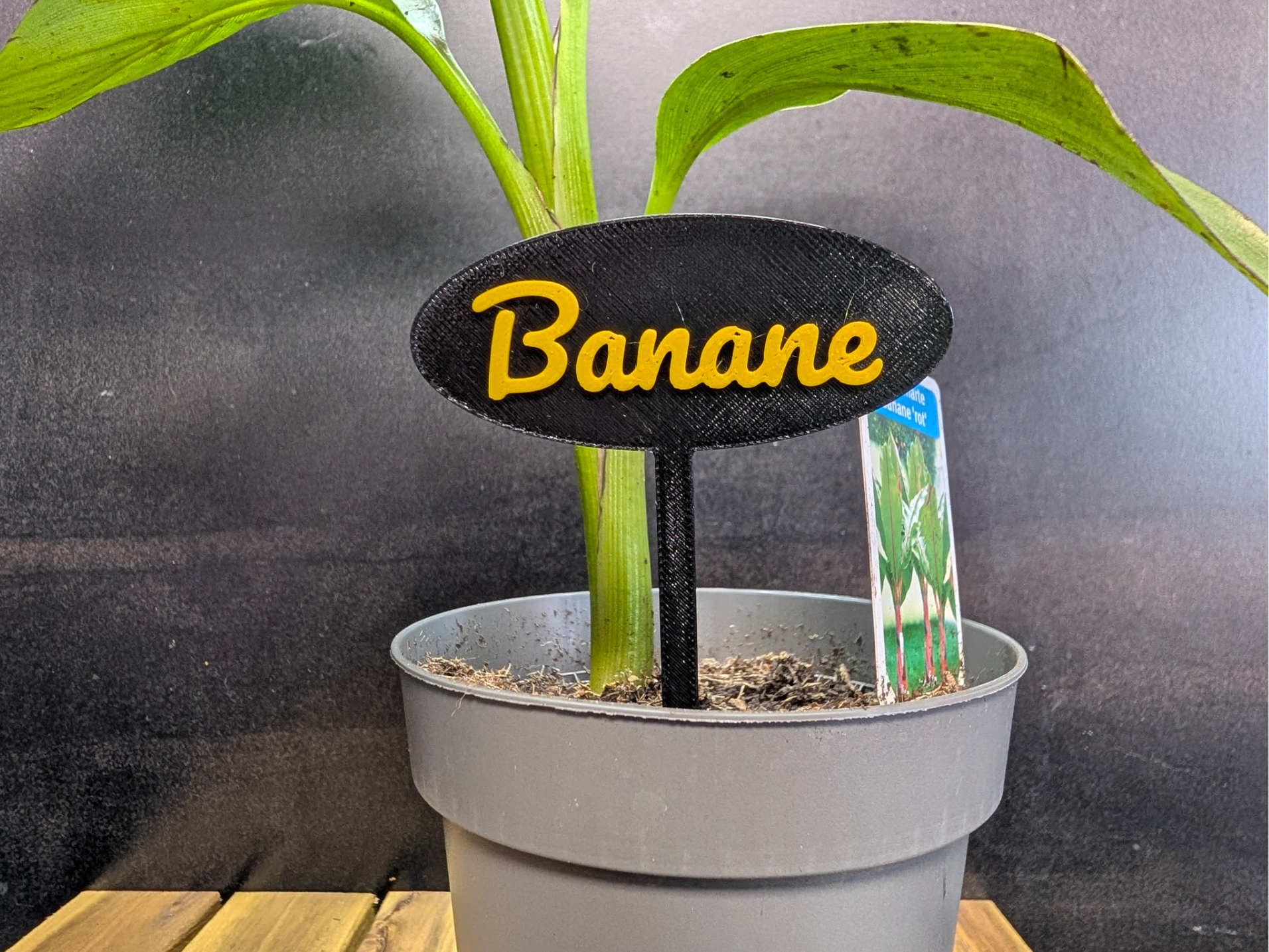 Parametric Plant Stakes / Herb Labels