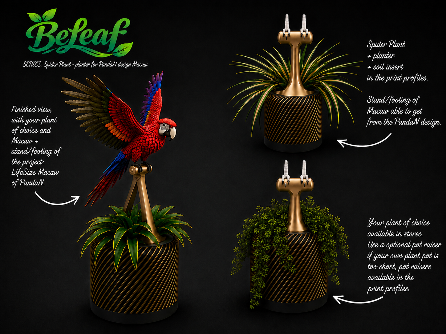 BeLeaf Series Macaw: Planter & Spider plant