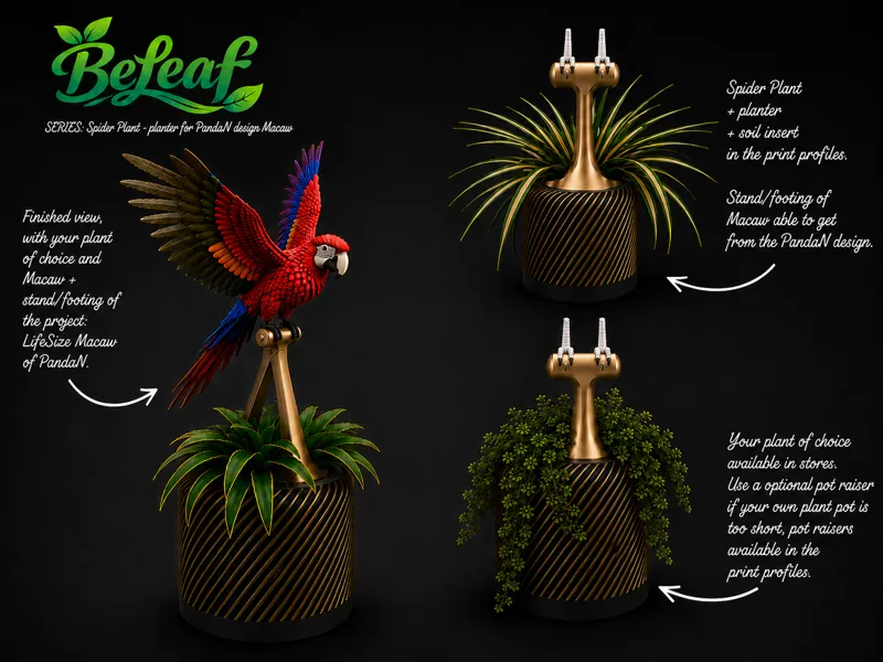 BeLeaf Series Macaw: Planter & Spider plant