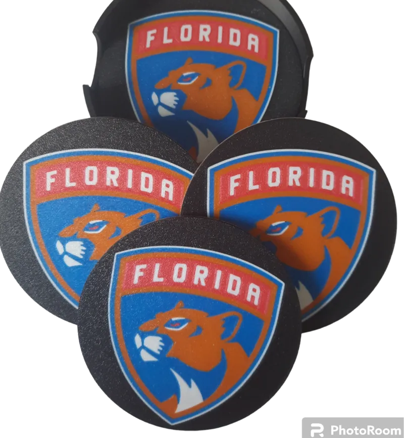 Florida Panthers Coaster