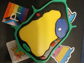 Biologie - Pflanzenzelle Modell