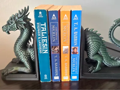 The Guardian’s Reach Bookends