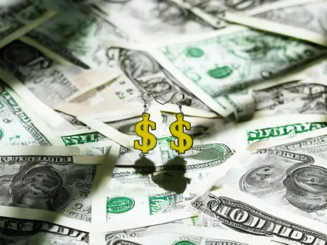 Dollar earrings