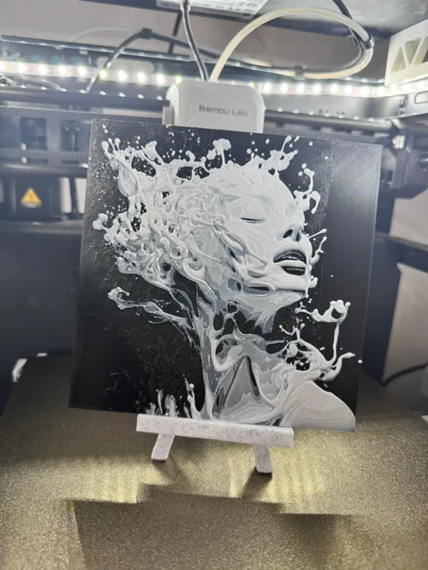 https://makerworld.bblmw.com/makerworld/model/US821f2710d00cbe/design/2024-01-24_12b807a17c28.jpg