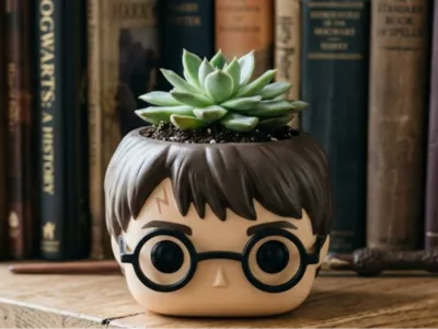 Harry Potter pot
