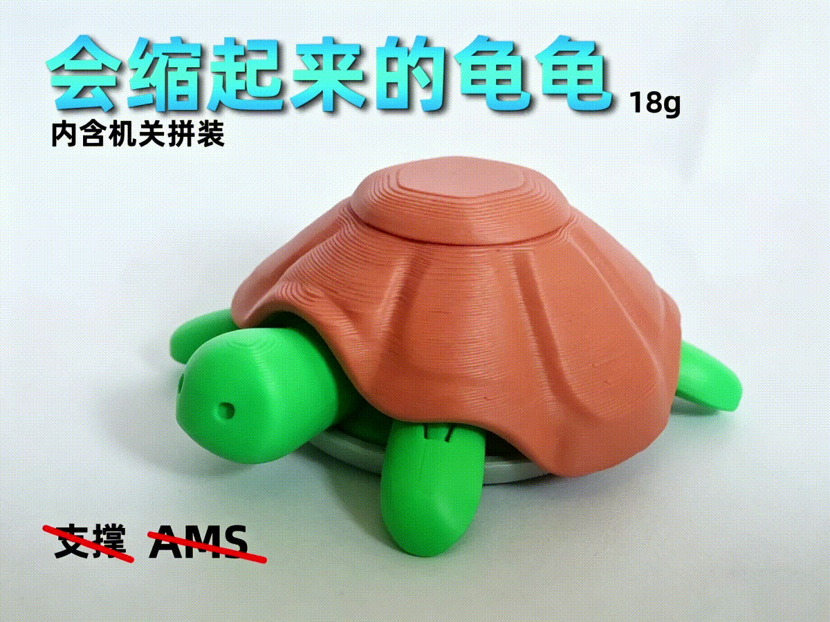会缩起来的龟龟