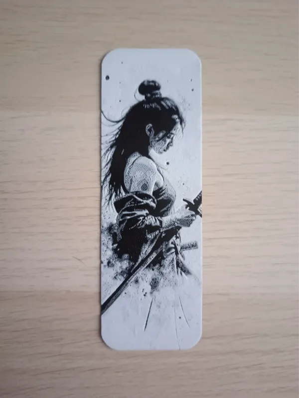 https://makerworld.bblmw.com/makerworld/model/US8226c1a1215eca/design/2025-01-12_75965963ffcb7.jpg