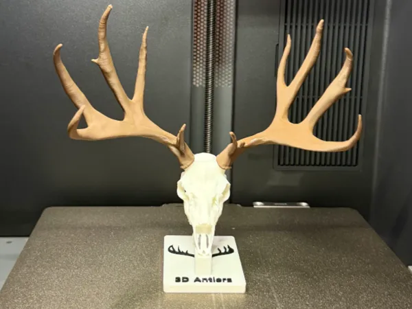 https://makerworld.bblmw.com/makerworld/model/US8226c542903d54/design/b95216dabfd429ae.jpg
