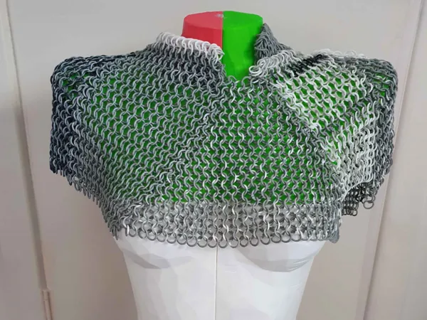 https://makerworld.bblmw.com/makerworld/model/US822a4293ee5751/design/2025-03-02_406d4c60039da.jpg