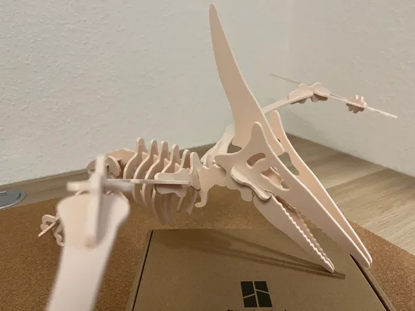 https://makerworld.bblmw.com/makerworld/model/US8236a04e63ec64/design/2025-01-17_ab9ba2fba5add8.jpg
