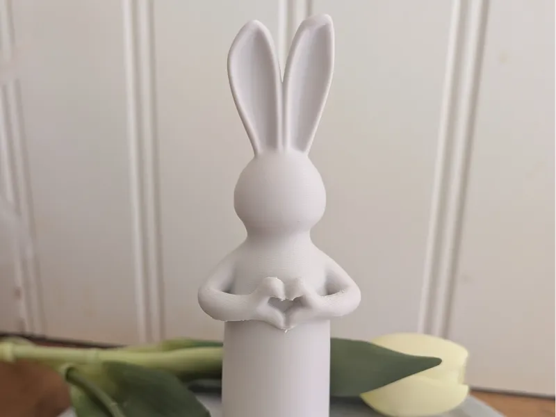 Bunny love