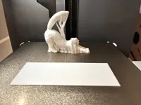 0.2mm nozzle, 0.08mm layer, 4 walls, 20% infill
