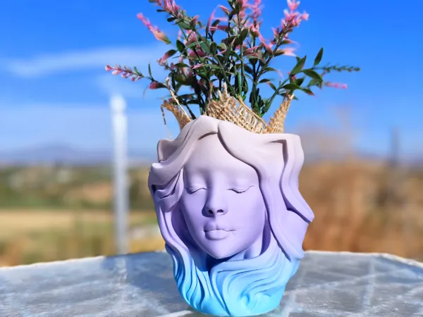 https://makerworld.bblmw.com/makerworld/model/US823cd21cf9cee8/design/2025-09-18_59f547e3cfd4e.jpg