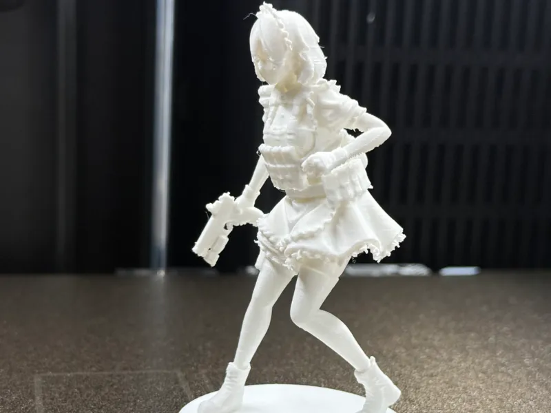 Anime Maid Soldier