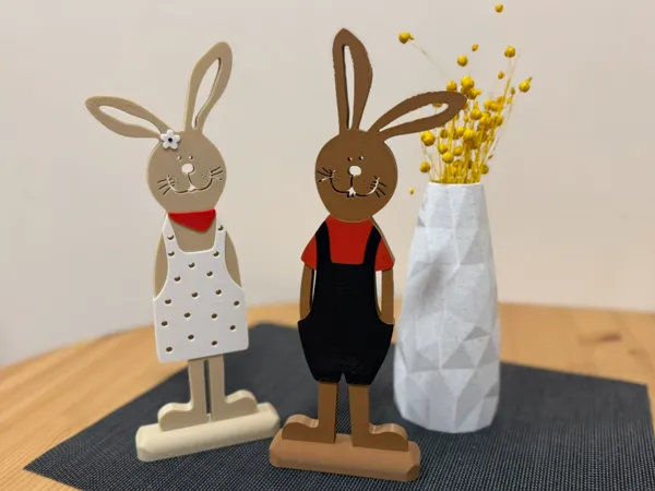 https://makerworld.bblmw.com/makerworld/model/US824c5dacd3e6dd/design/2025-04-09_ee143283e74ea.jpeg