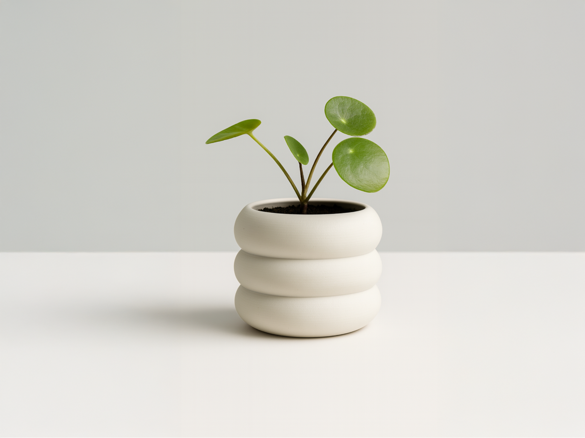Planter