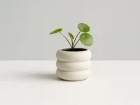 Petit pot de fleurs — photo 1
