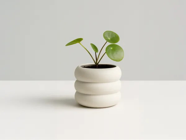 Petit pot de fleurs