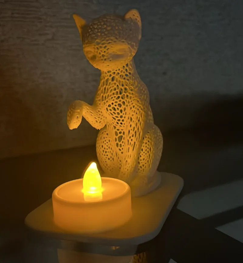 Curious Cat Voronoi