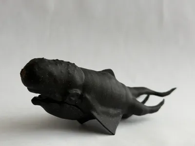 Space Wars Whale