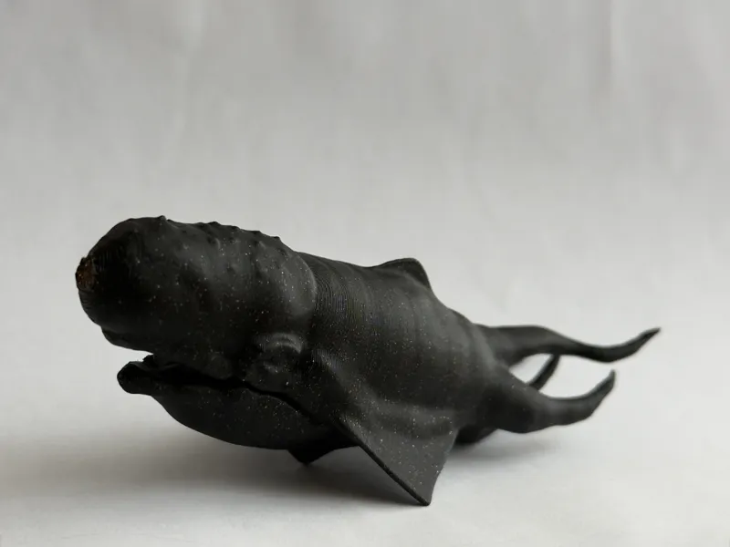 Space Wars Whale
