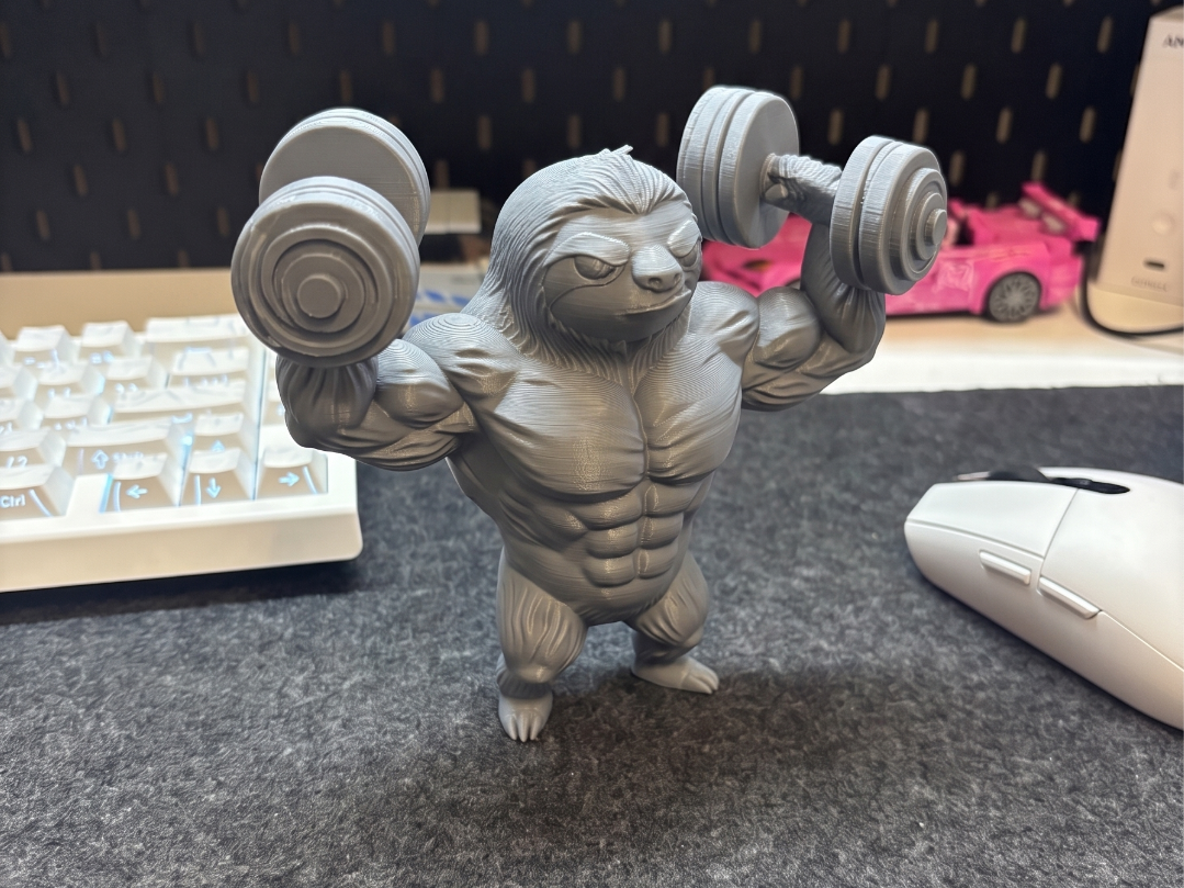 Buff Sloth Lifting Weights | Jacked Muscle Sloth