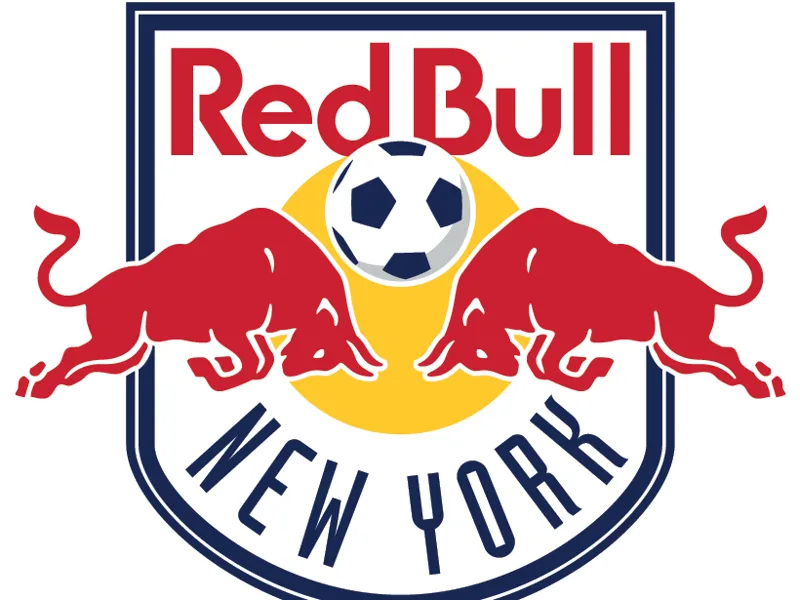 New York Red Bulls Keychain