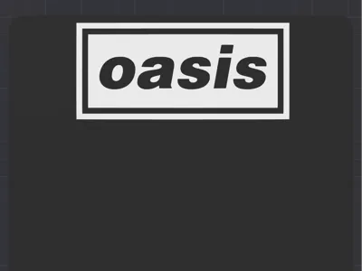 Oasis DISCOGRAFInity 7" 45 Vinyl Record Divider