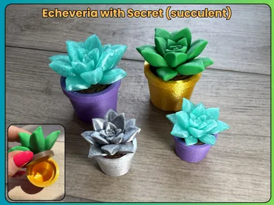 Echeveria Plant with Secret (succulent)