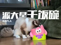 派大星宠物干饭碗