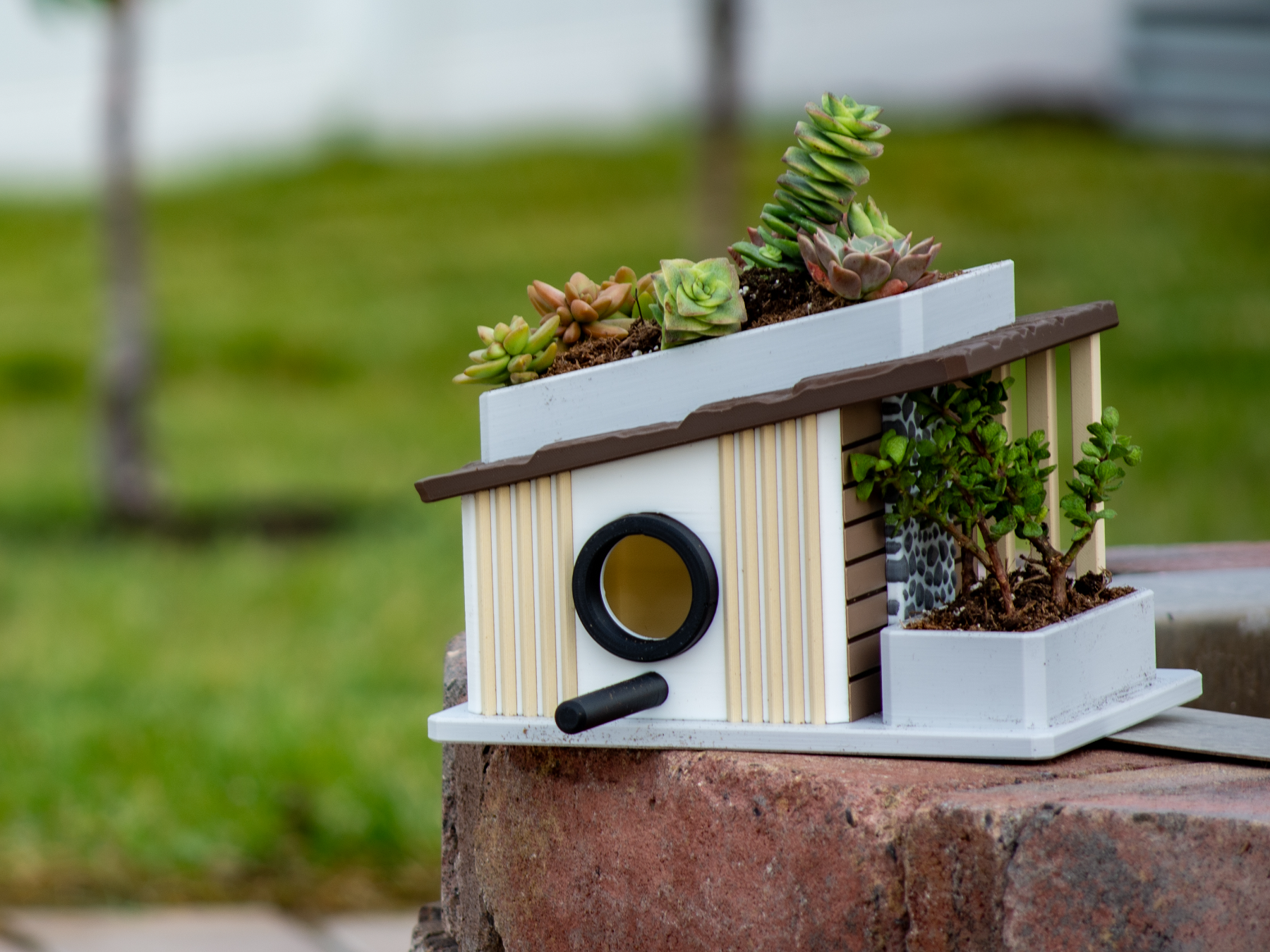 Mid-Century Modern Birdhouse & Succulent Planter