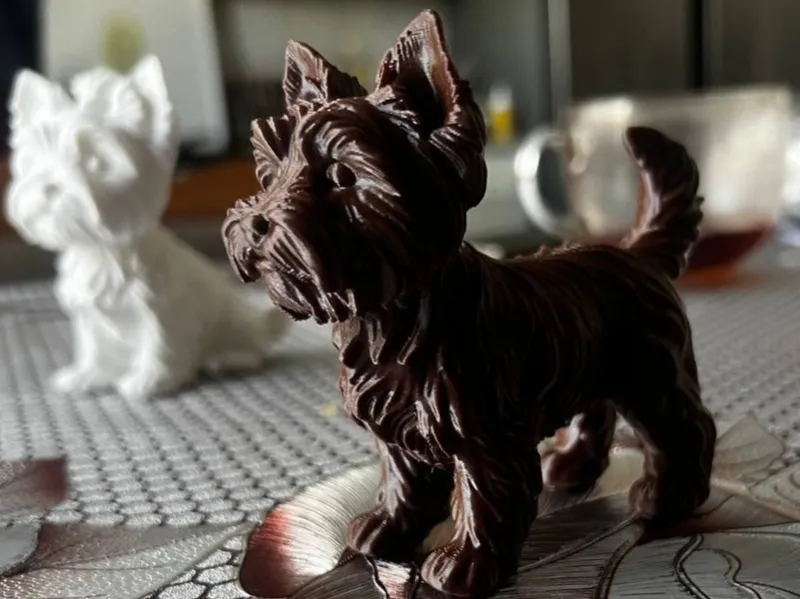 Yorkshire Terrier