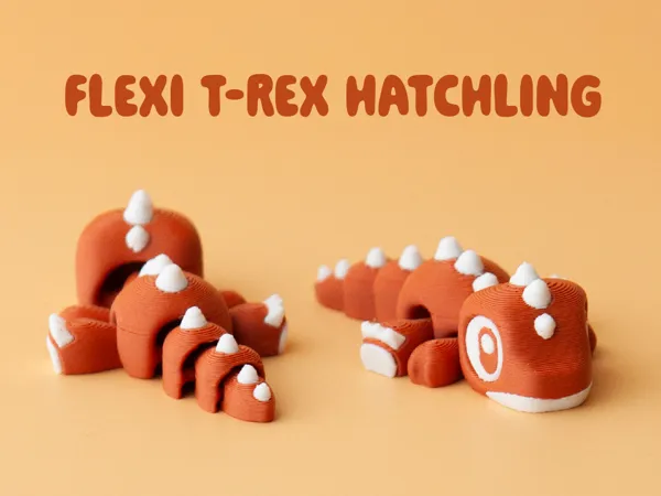 https://makerworld.bblmw.com/makerworld/model/US8260a9f8a0fdc4/design/2025-10-22_9ea54c579c21d8.jpg