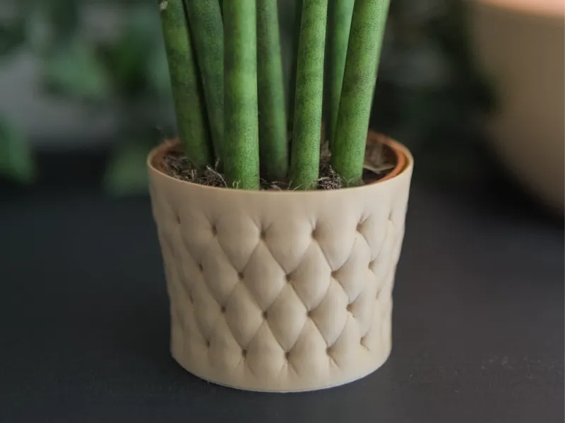 Inflated Planter (Vase Mode) - Succulents 