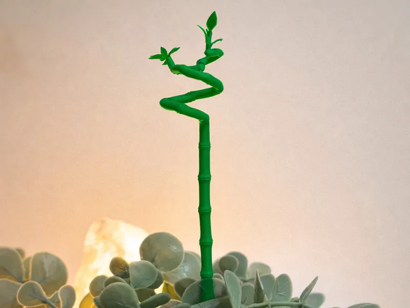 Plant Lucky Bamboo Ikea - Minimalist Zen Plant