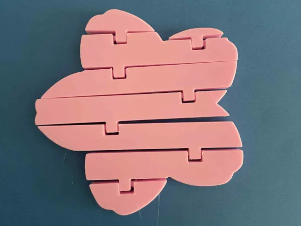 https://makerworld.bblmw.com/makerworld/model/US826551200a2744/design/2025-06-06_24f6cc96eaa168.jpeg