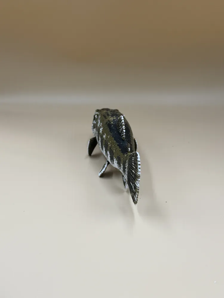 The River Ambusher – Traíra (Wolf Fish) - Free 3D Print Model - MakerWorld