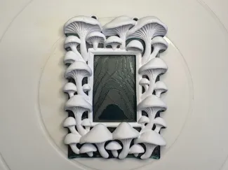 Mushroom Frame